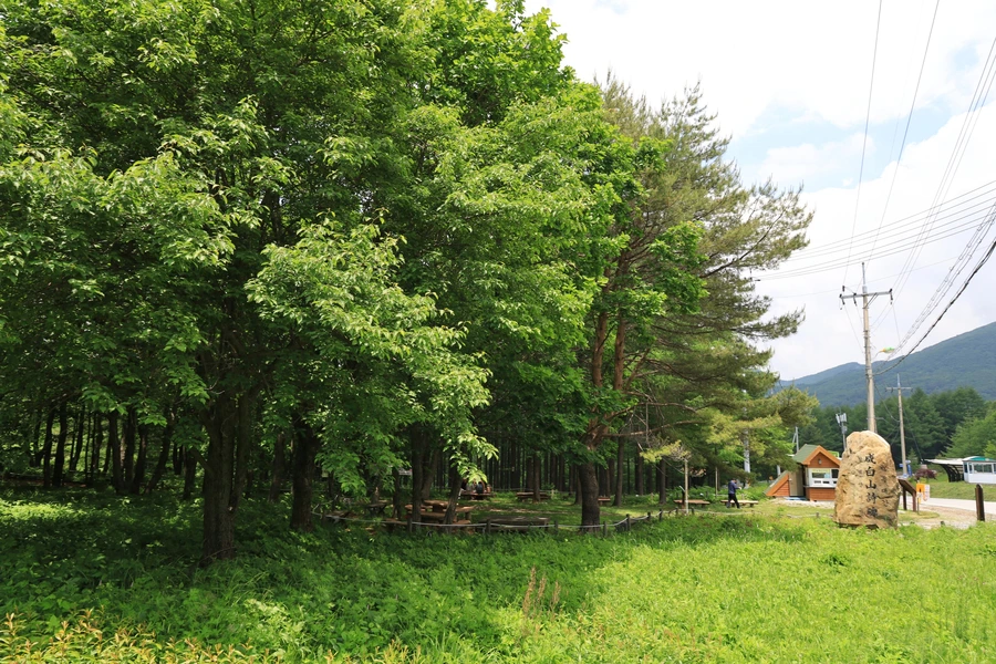 SE-f6f8bb47-3f0e-4536-8f63-02b2c1c56482.jpg?type=w1