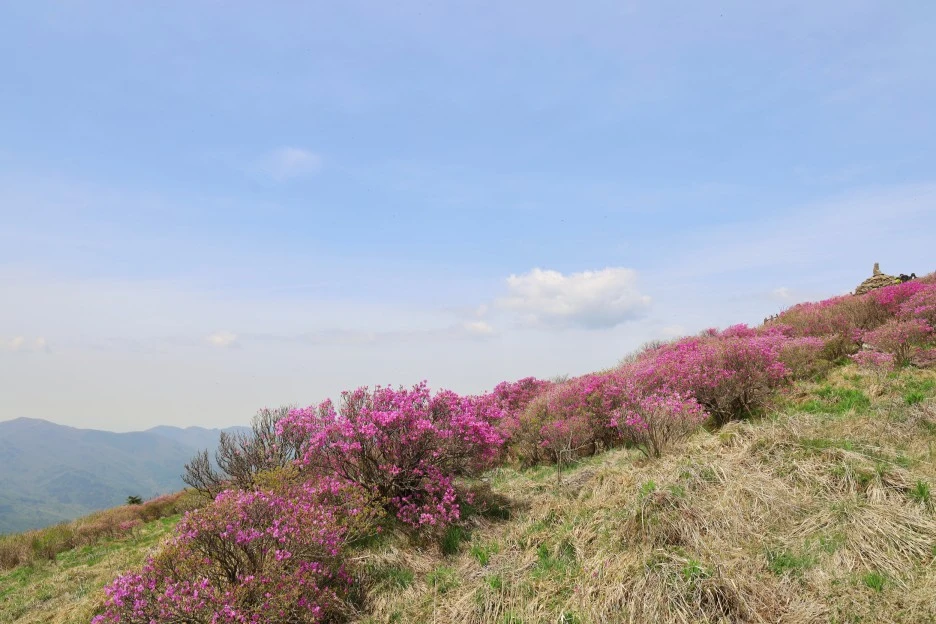 4%EC%9B%9428%EC%9D%BC_(112).JPG?type=w1