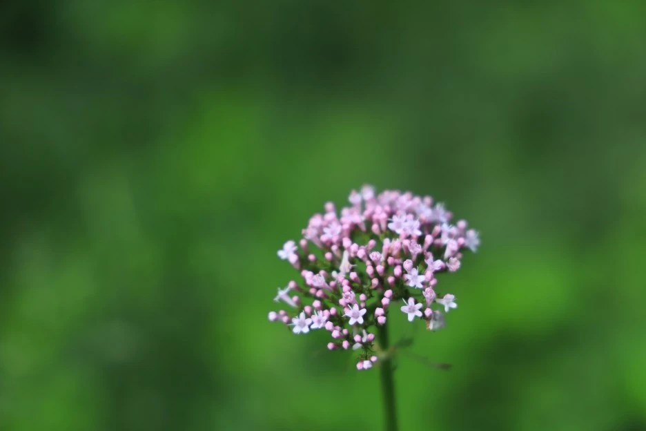 6%EC%9B%9414%EC%9D%BC_(8).JPG?type=w1