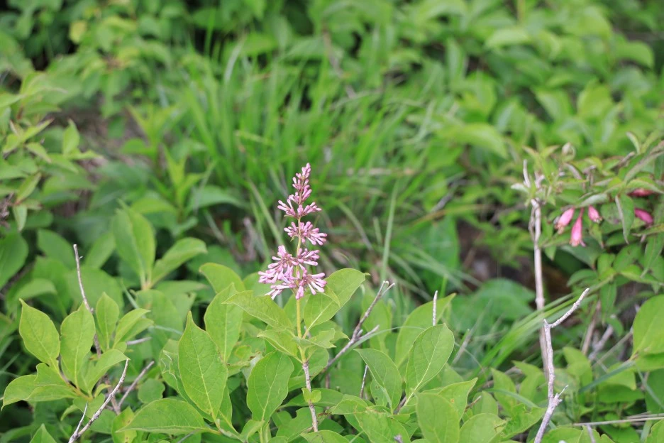 6%EC%9B%9414%EC%9D%BC_(159).JPG?type=w1