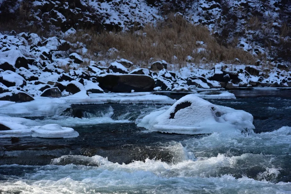 1%EC%9B%9412%EC%9D%BC_(145).JPG?type=w1