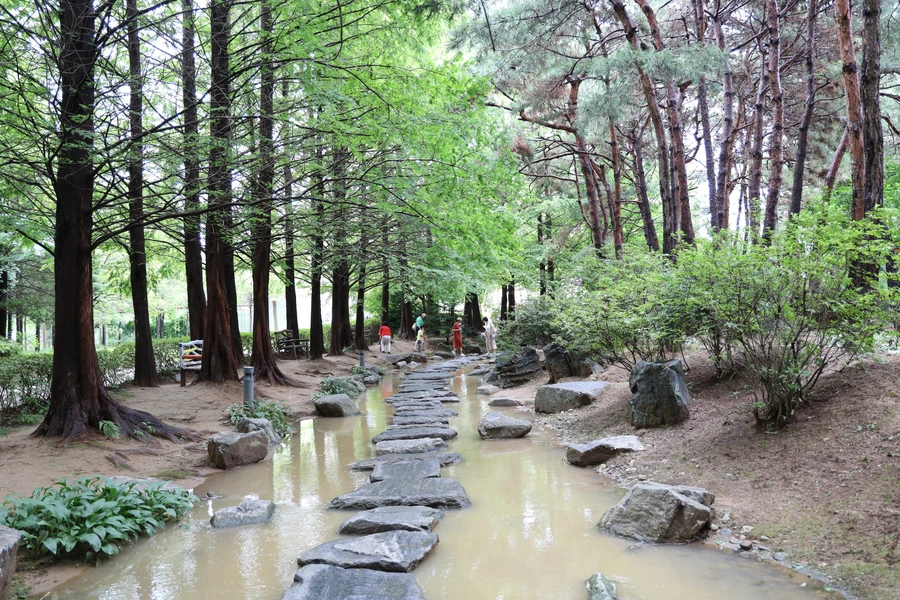 SE-76822999-b66f-4814-aeec-d863fdadef2c.jpg?type=w1