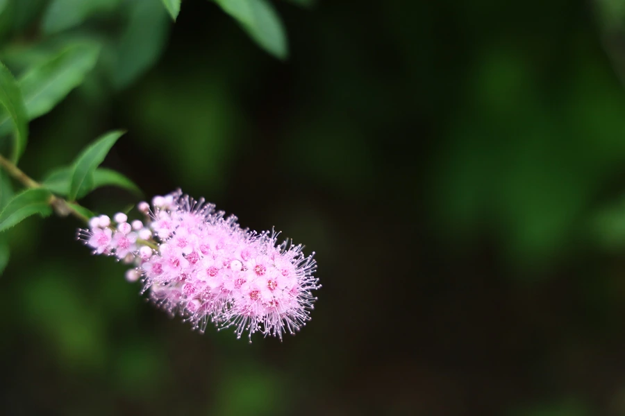 SE-89cf804a-00aa-432d-8213-f2056079c6bd.jpg?type=w1