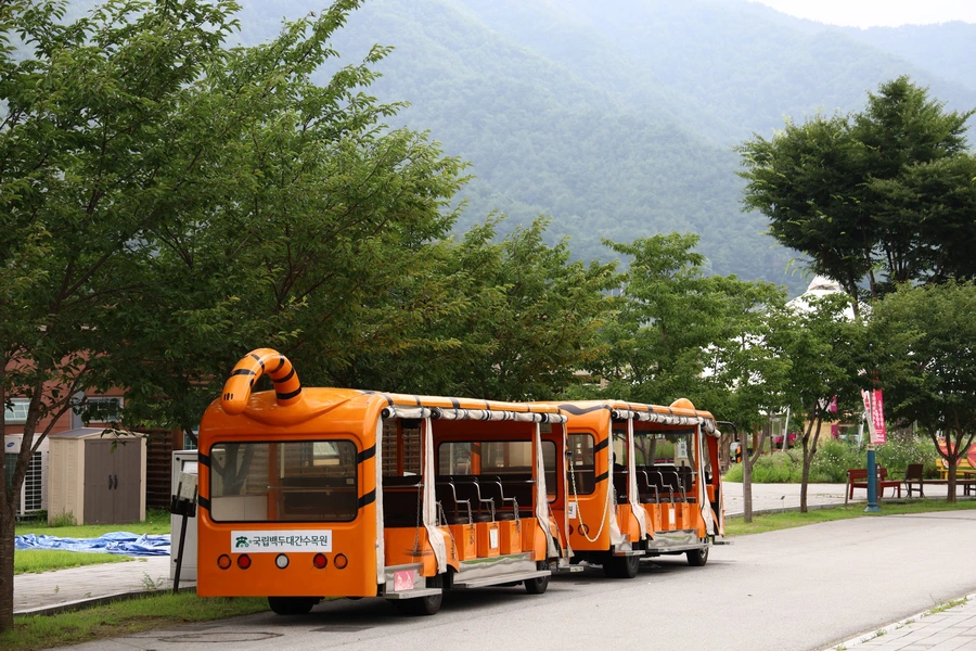 SE-ef0c0acb-e75e-4ea7-93d4-d7da62651f2b.jpg?type=w1