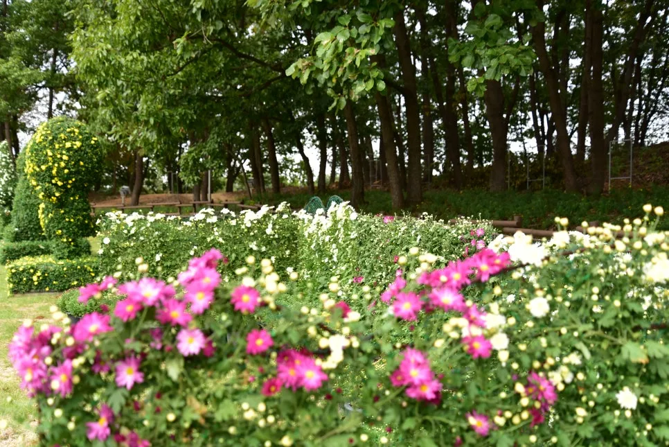 10%EC%9B%9414%EC%9D%BC_(17).JPG?type=w966