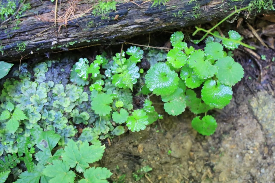 6%EC%9B%9428%EC%9D%BC_(75).JPG?type=w1