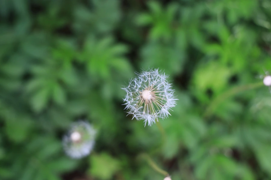 SE-89316ffc-6110-4c26-9e4d-b236d625ccdd.jpg?type=w1