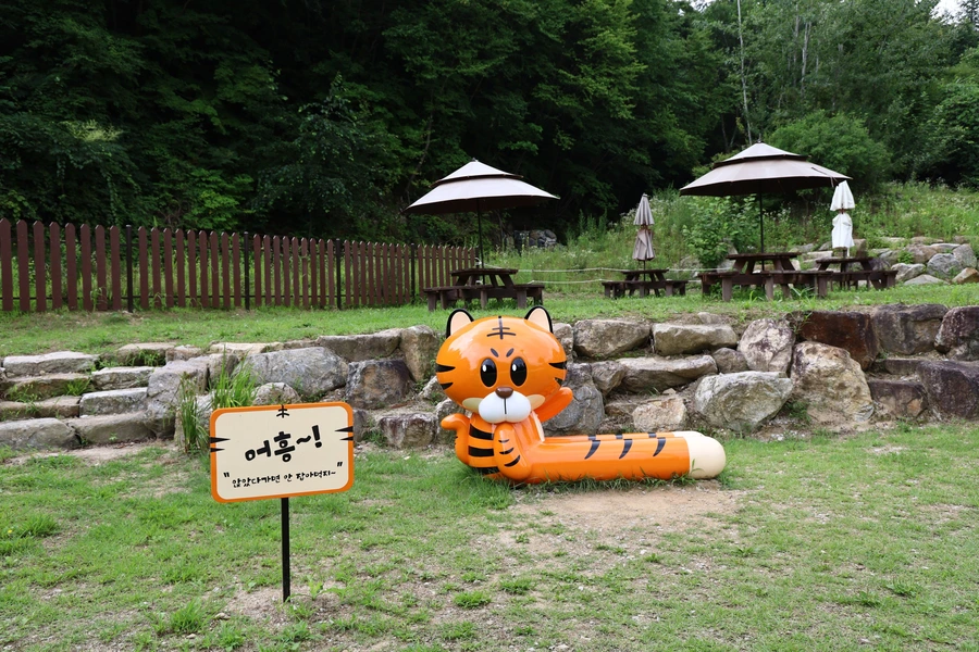 SE-009dfc6c-df82-4dcf-bef2-60ad214d3040.jpg?type=w1