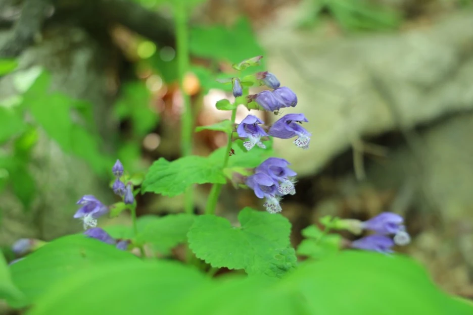 5%EC%9B%9410%EC%9D%BC_(146).JPG?type=w1