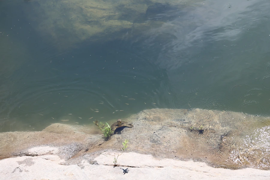 SE-2f3a4bb4-cf8c-44b6-be1c-e28452ed579e.jpg?type=w1