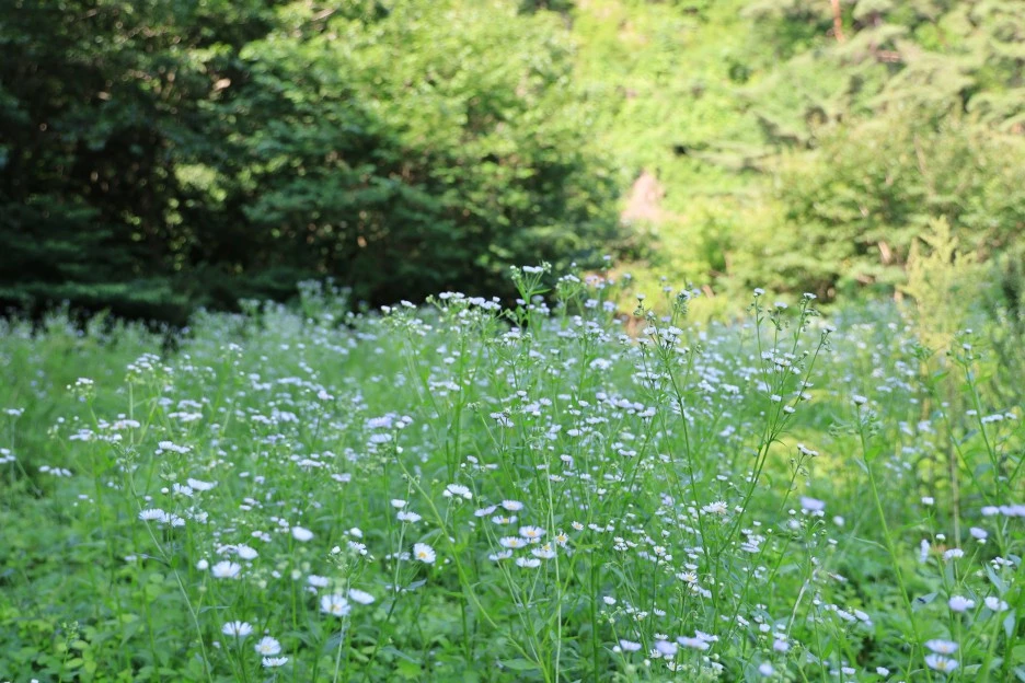 6%EC%9B%9428%EC%9D%BC_(9).JPG?type=w1