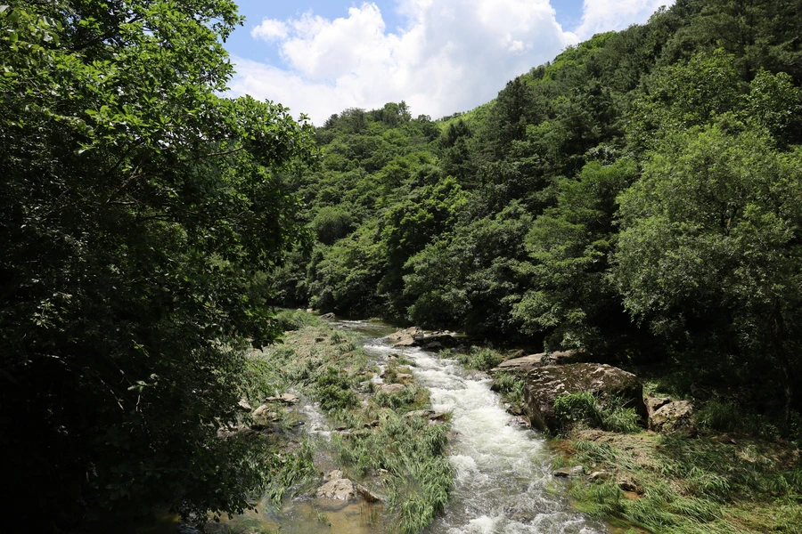 SE-f24aa1c1-0bc5-4f42-a3a9-23242f32cc10.jpg?type=w1