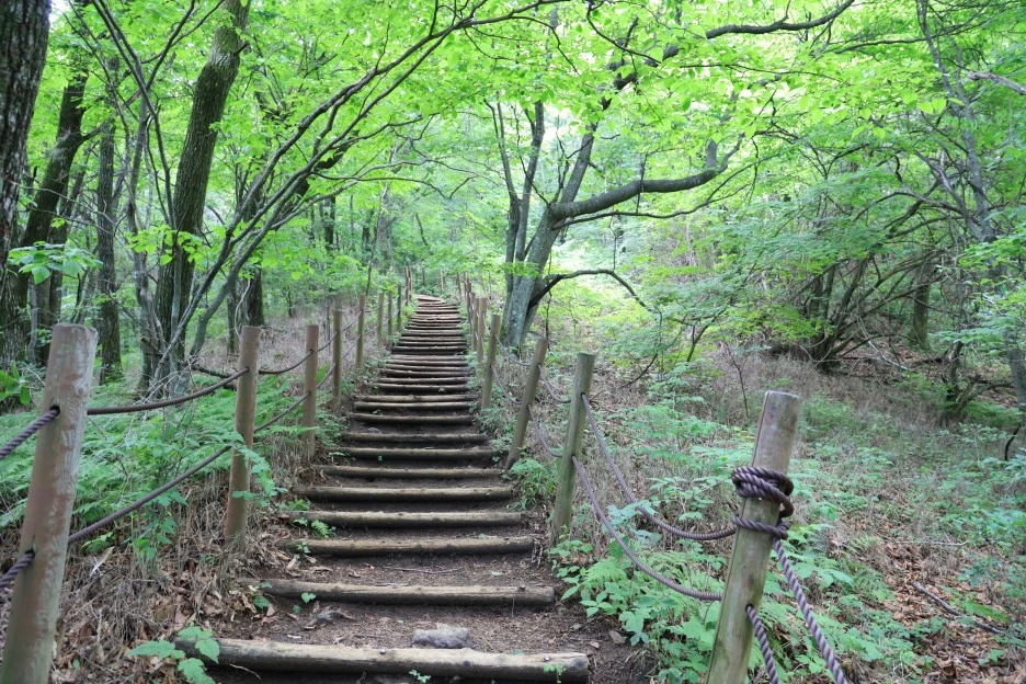 6%EC%9B%9428%EC%9D%BC_(97).JPG?type=w1