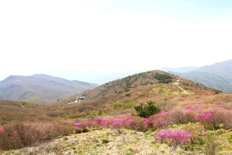 4%EC%9B%9428%EC%9D%BC_(71).JPG?type=w1