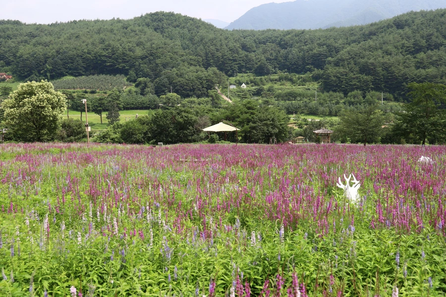 SE-e19b50b2-d736-4837-8bc1-09116407f31d.jpg?type=w1