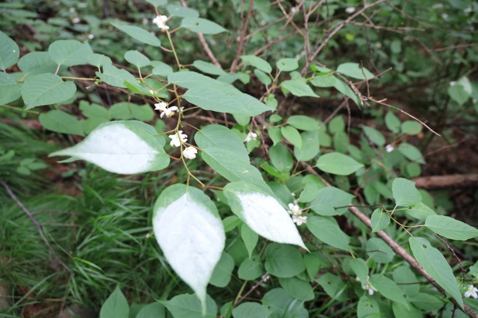 6%EC%9B%9428%EC%9D%BC_(391).JPG?type=w1