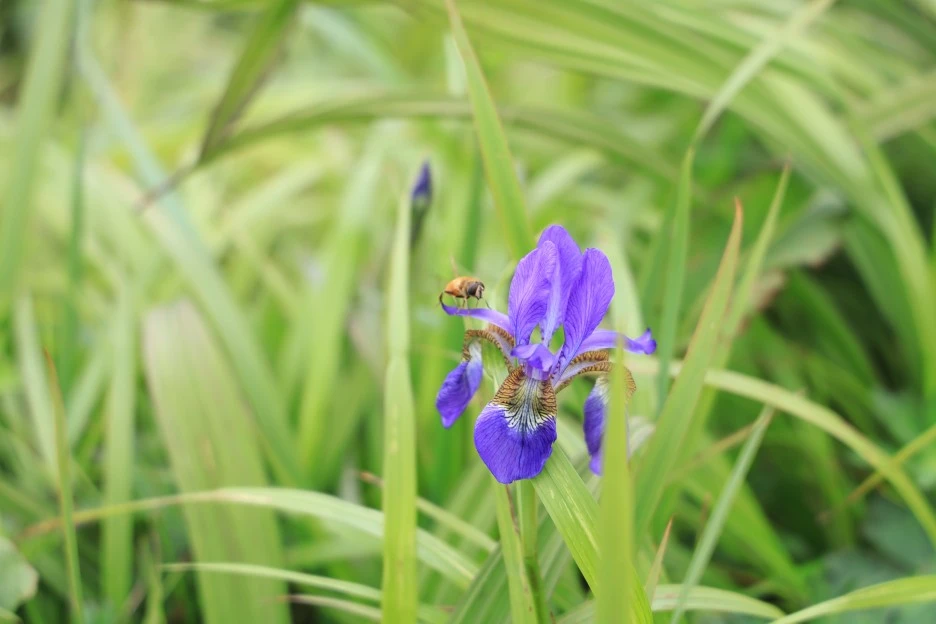 6%EC%9B%9428%EC%9D%BC_(321).JPG?type=w1