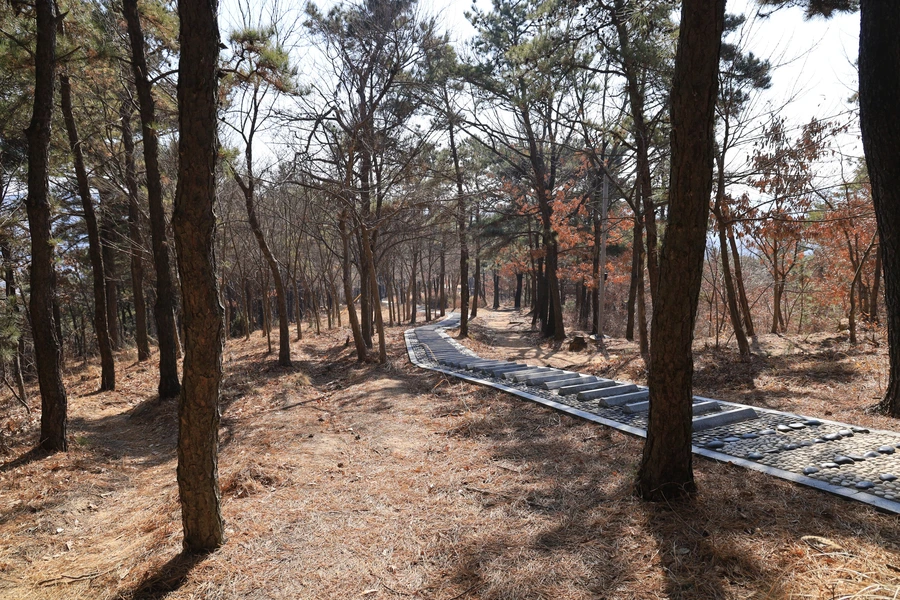 SE-0ae2815b-77f7-4231-8dac-8c7c6469b598.jpg?type=w1