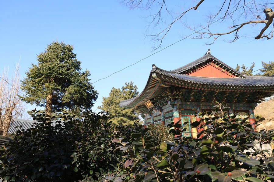 SE-e1eaf198-f56b-4f97-b2df-cbbcb369ae6b.jpg?type=w1