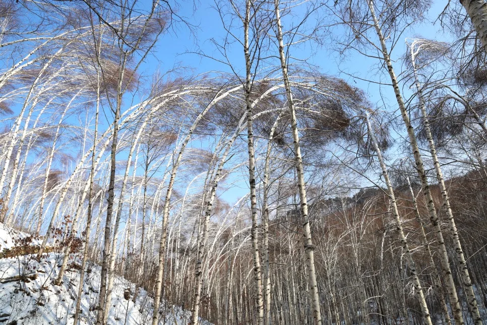 12%EC%9B%9426%EC%9D%BC_(41).JPG?type=w966