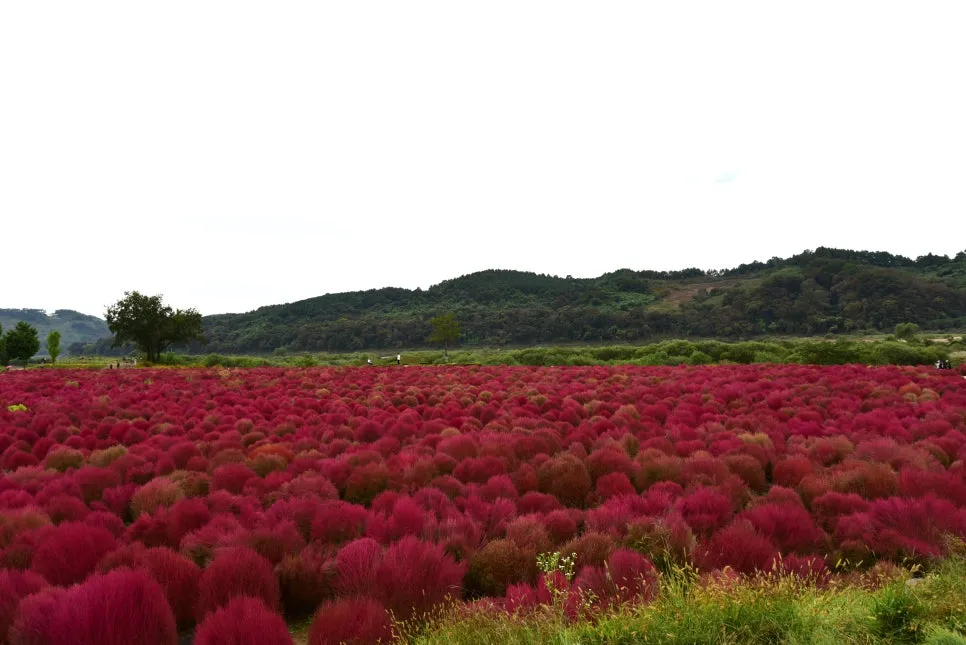 10%EC%9B%9414%EC%9D%BC_(66).JPG?type=w966