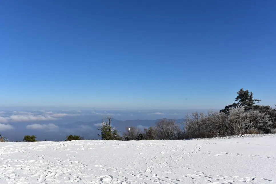 11%EC%9B%9426%EC%9D%BC_(21).JPG?type=w966