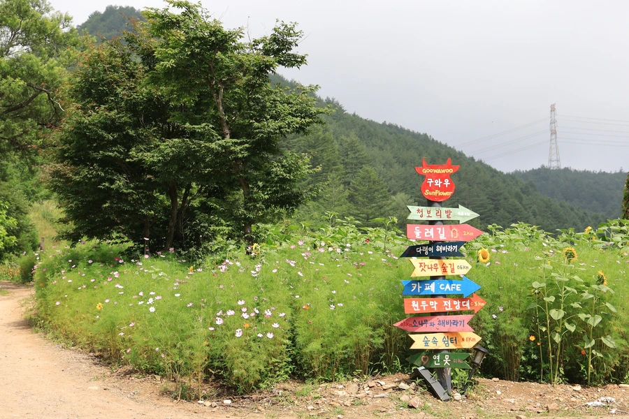 SE-cf1684d3-646a-4e23-9be7-482a98f016b9.jpg?type=w1