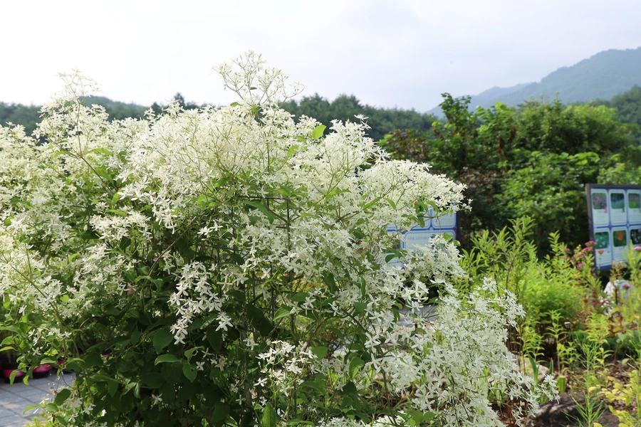 SE-e3c602b6-61d8-4c8e-9e81-38b868e8eb1b.jpg?type=w1