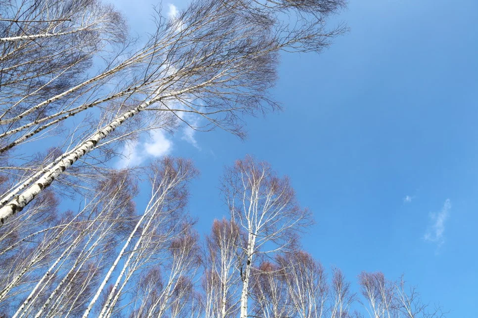 12%EC%9B%9426%EC%9D%BC_(39).JPG?type=w966