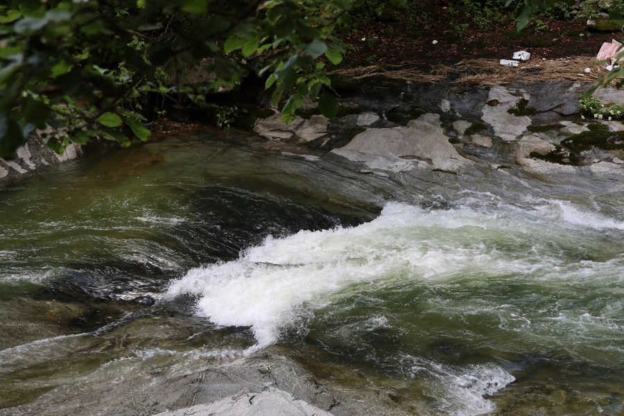 SE-49045a8a-1452-4a26-9fc0-dab7242321cc.jpg?type=w1