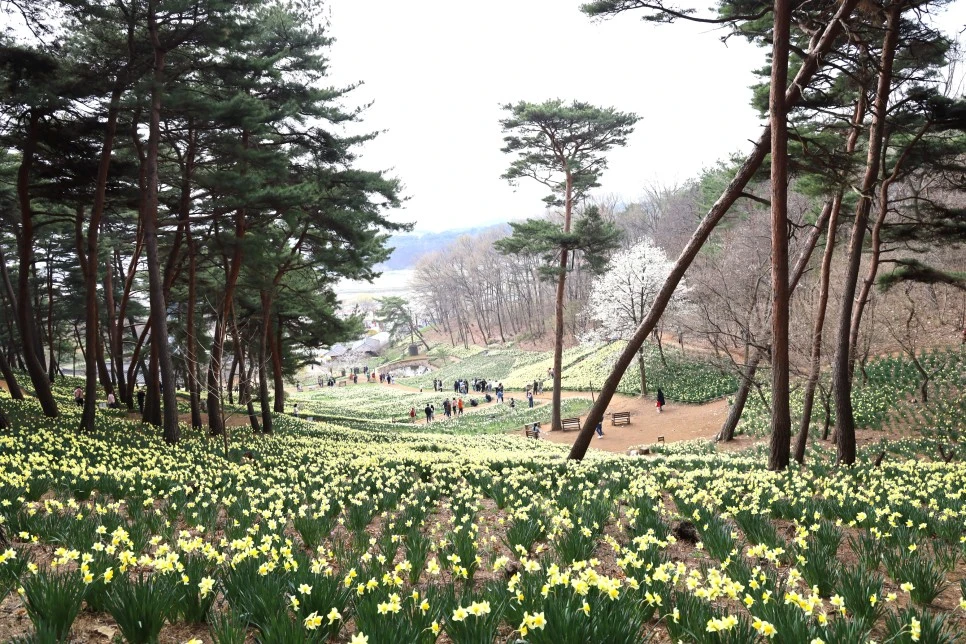 4%EC%9B%945%EC%9D%BC_(65).JPG?type=w966