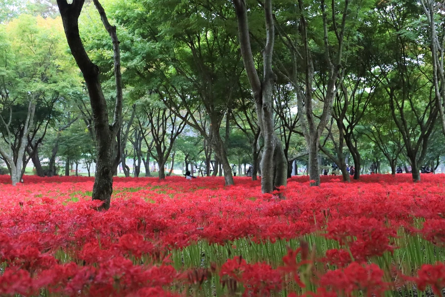 SE-10aded20-b094-4796-9f7f-40326c909418.jpg?type=w1