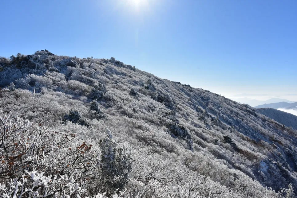 11%EC%9B%9426%EC%9D%BC_(95).JPG?type=w966