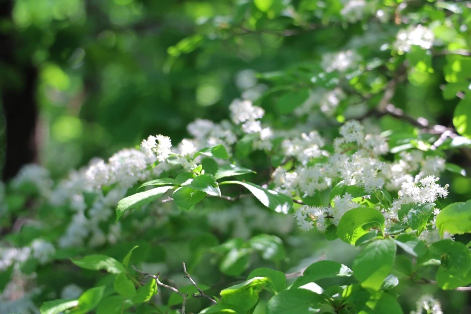 5%EC%9B%9410%EC%9D%BC_(24).JPG?type=w1