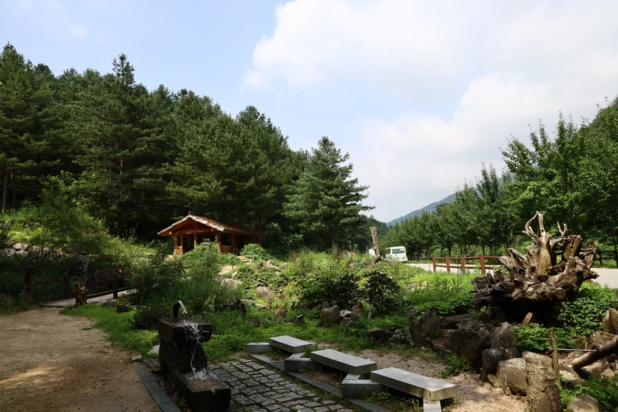 SE-e65075ca-d1ff-4e5a-b102-e9f1ba0d8ef4.jpg?type=w1