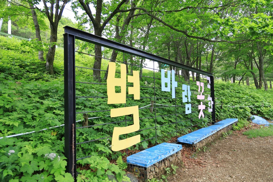 SE-c22af7b7-2110-43ca-b3ec-7aeef8e5c464.jpg?type=w1