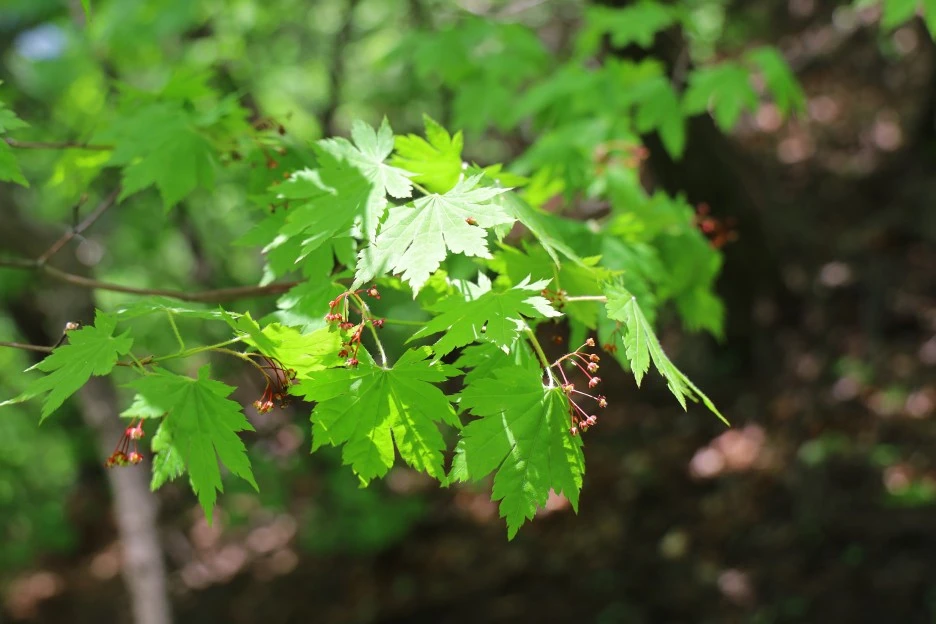 5%EC%9B%9410%EC%9D%BC_(121).JPG?type=w1