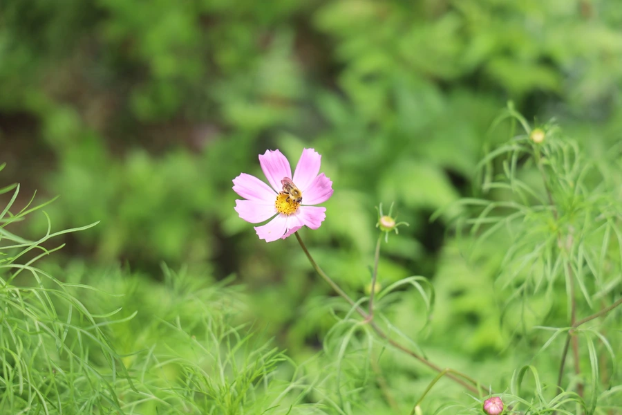 SE-ba2b2e08-6d5d-46d9-b245-0fc507606b37.jpg?type=w1