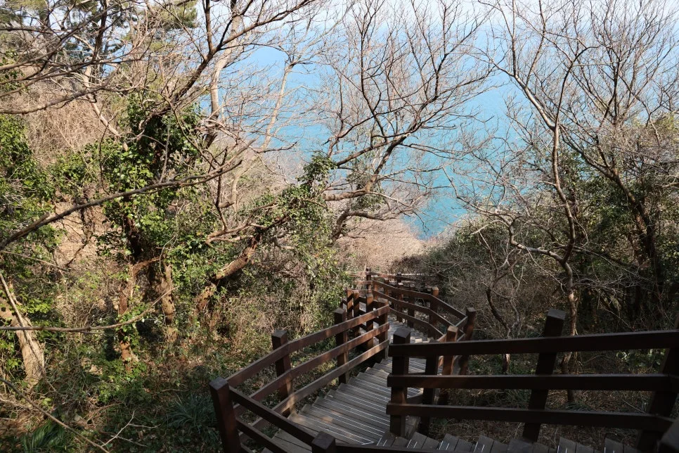 2%EC%9B%9426%EC%9D%BC_(30).JPG?type=w966