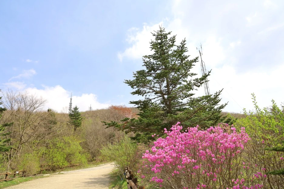 4%EC%9B%9428%EC%9D%BC_(164).JPG?type=w1