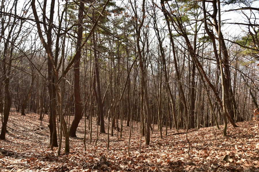 SE-b1e3223e-1ba3-4dce-9f98-be3fec3bd78f.jpg?type=w1