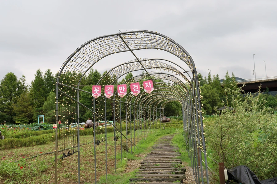 SE-391bdb7b-02cf-47f4-ac5d-6012564b9b49.jpg?type=w1