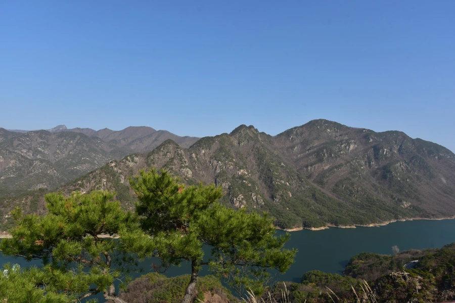 SE-047ecc5f-af81-4b77-966f-04b4b13a3b95.jpg?type=w1