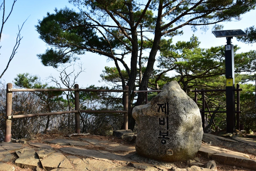 SE-06a4284a-cf48-479c-80fc-204b4c193320.jpg?type=w1