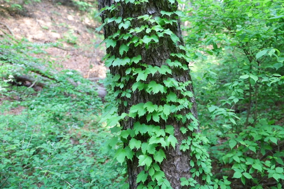 5%EC%9B%9410%EC%9D%BC_(9).JPG?type=w1