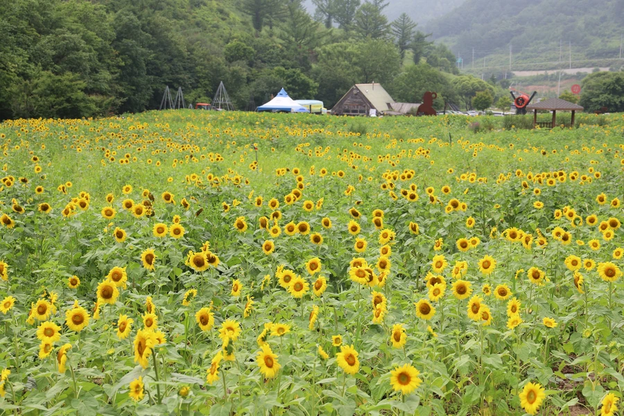 SE-f1f3a29a-3a70-4ea7-82fa-136a8e15ab90.jpg?type=w1