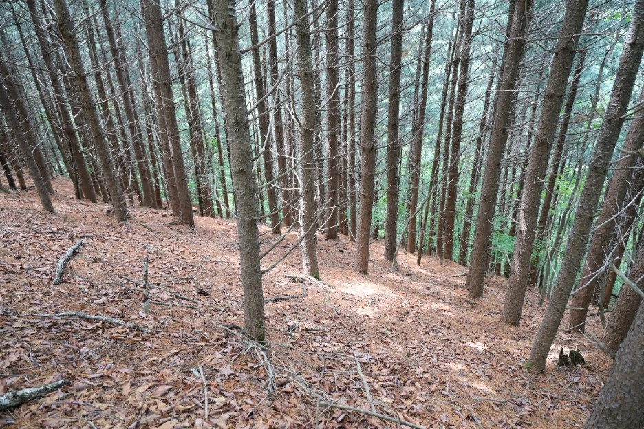 6%EC%9B%9428%EC%9D%BC_(104).JPG?type=w1