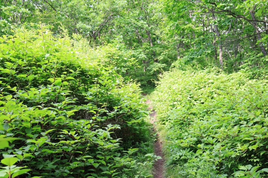 6%EC%9B%9414%EC%9D%BC_(37).JPG?type=w1