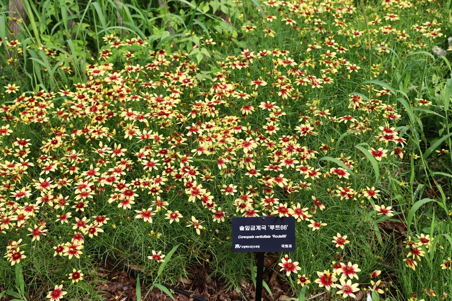 SE-c0cffb79-9619-4146-9300-8eb94b9c30cb.jpg?type=w1