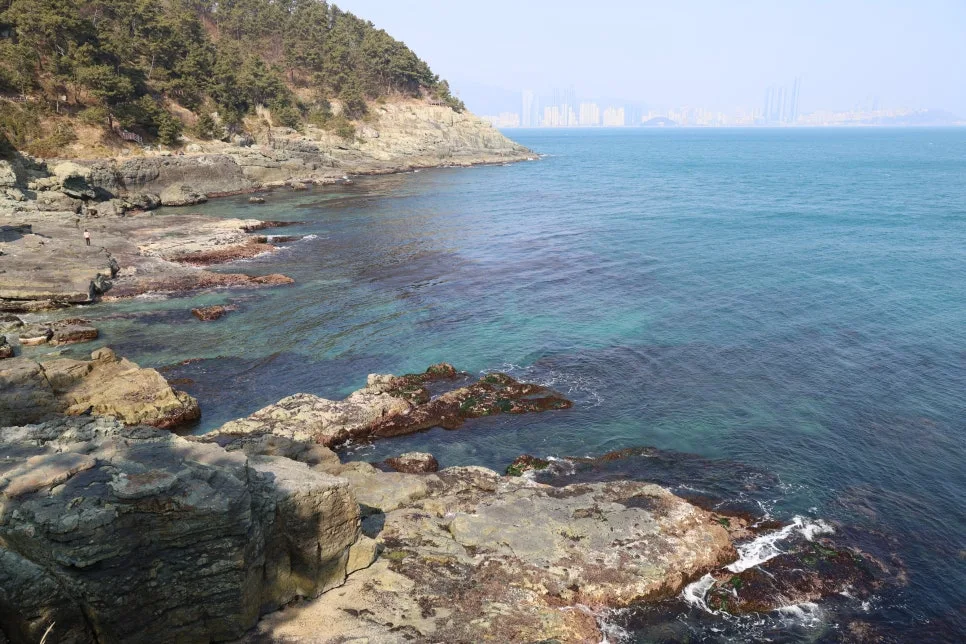 2%EC%9B%9426%EC%9D%BC_(47).JPG?type=w966